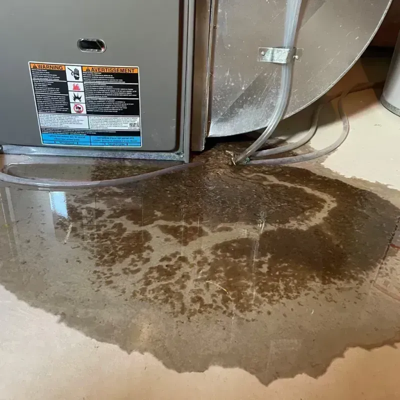 Appliance Leak Cleanup in Amherst, WI